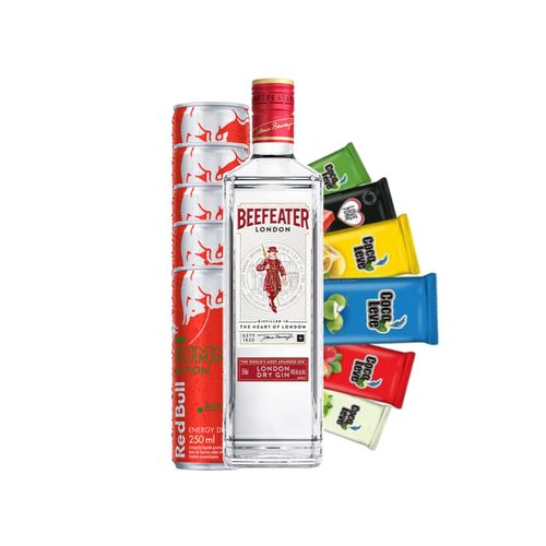 Combo Gin Beefeater london com 05 Redbull Melancia + 05 Gelo de Sabor