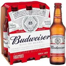 Caixa Budweiser 330 ml Long Neck com 6 un